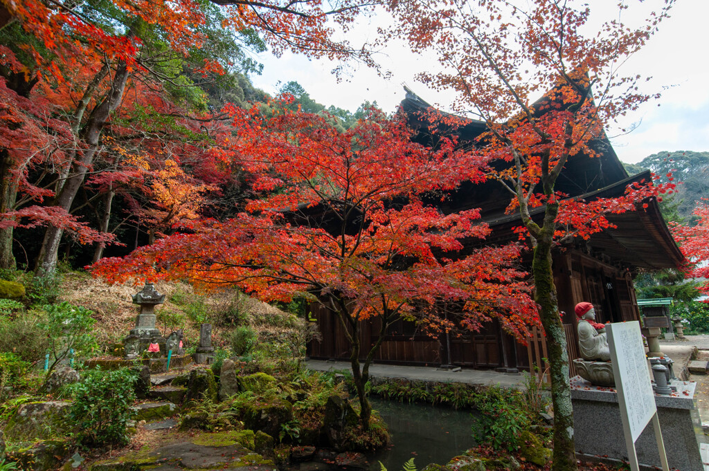 定光寺-24