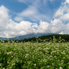 蕎麦畑と御嶽山
