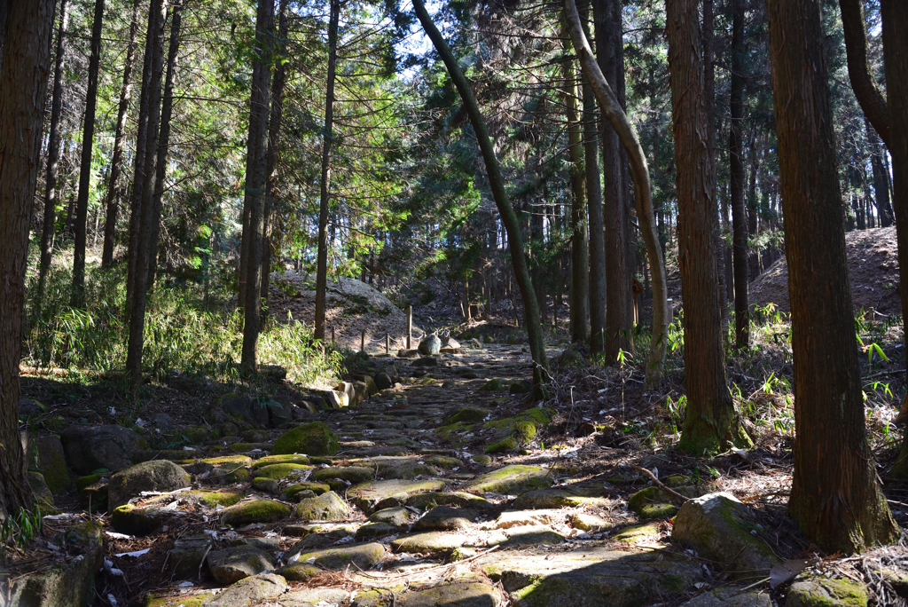 中山道琵琶峠石畳