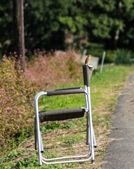 伊那田島　中川村赤そば畑３