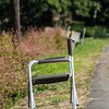 伊那田島　中川村赤そば畑３