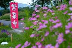 営業中