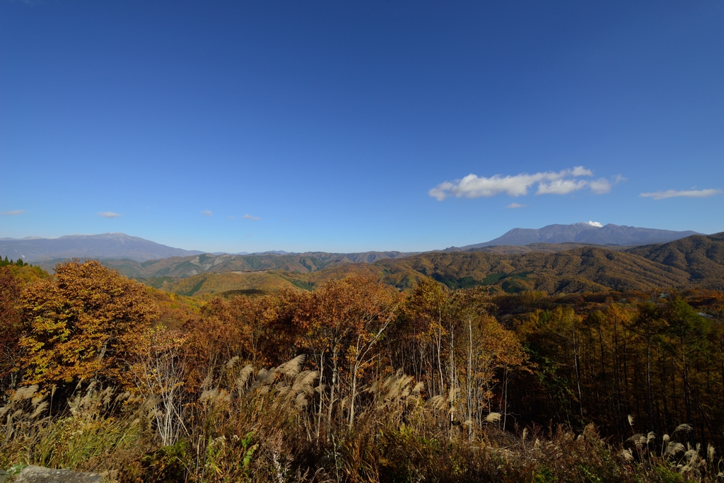 鈴蘭高原