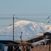 伊吹山