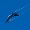 航空祭事前訓練７