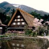 写ルンです