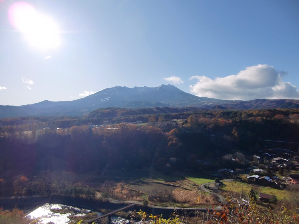 柳又ビュースポット