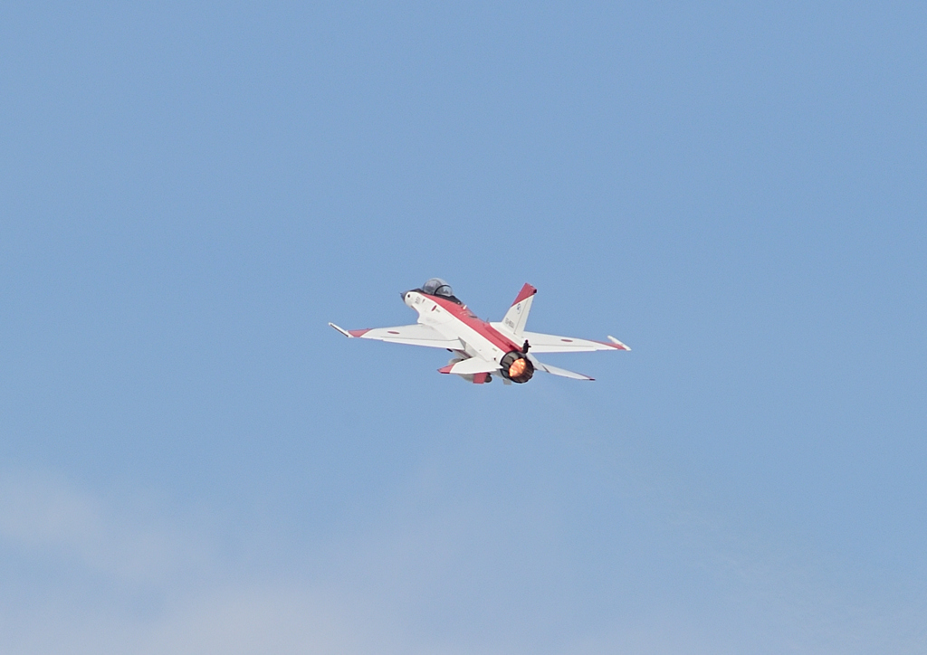F2 (2)