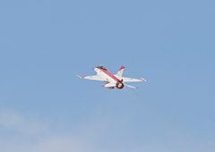 F2 (2)