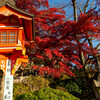 犬山成田山-24