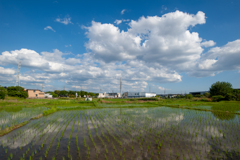 夕方でも暑かった