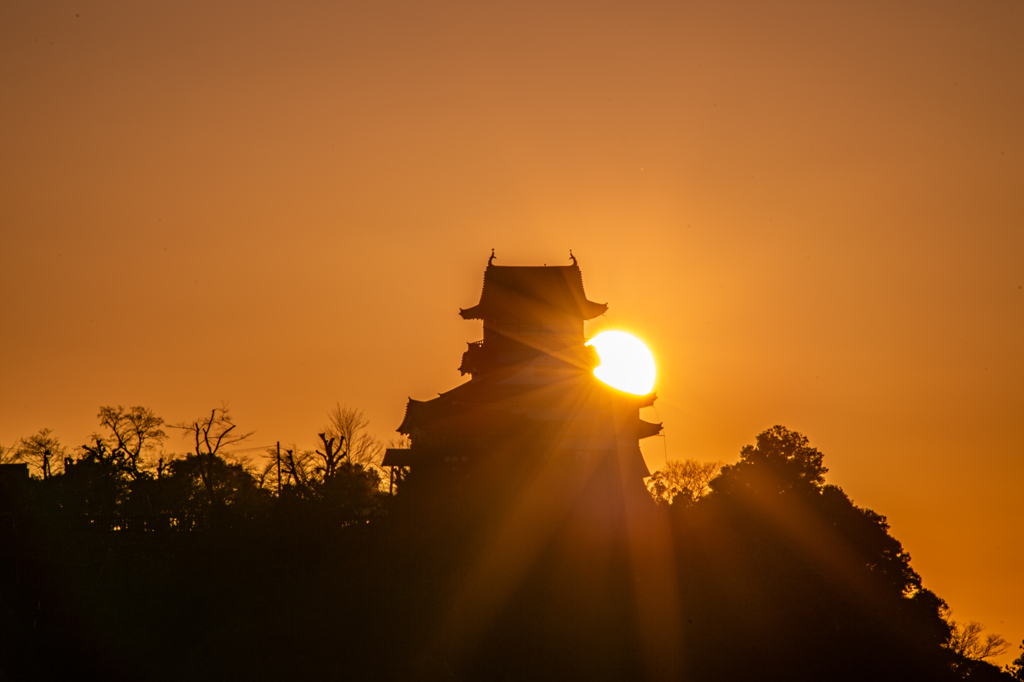 犬山城夕景