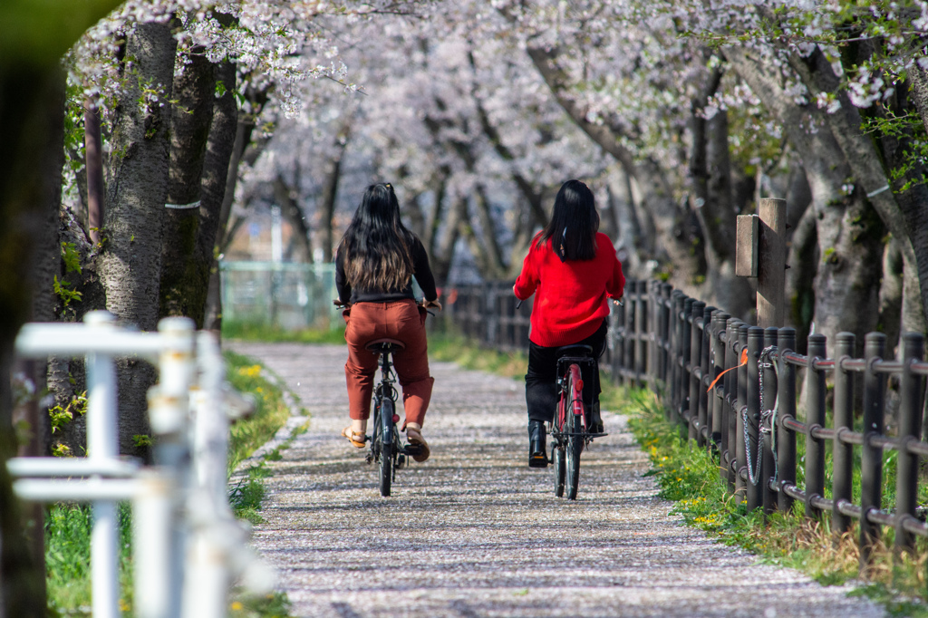 尾北自然歩道
