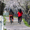 尾北自然歩道