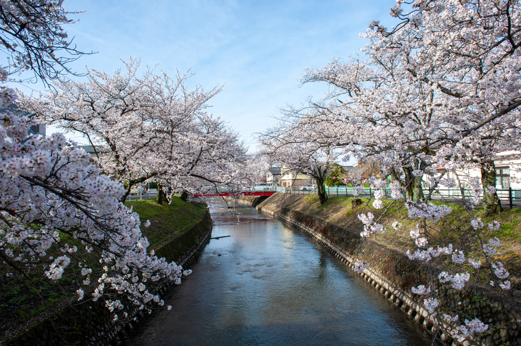 五条川