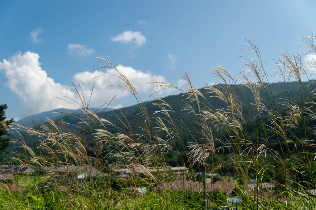 2024,09　開田高原-8