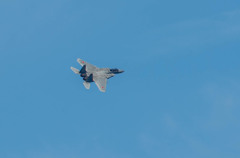 F15