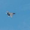F15