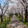 五条川 (13)