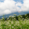 蕎麦畑と御嶽山２