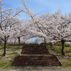 四季の森