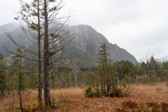 2024 秋の上高地-23