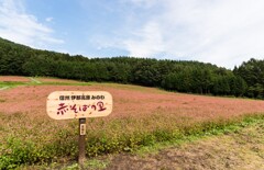 箕輪赤そばの里