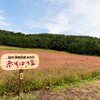 箕輪赤そばの里