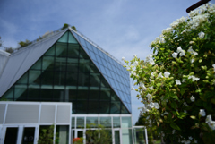 フラワーパーク江南 (3)