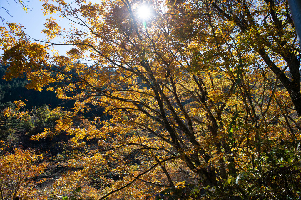 奈良井宿～鳥居峠～薮原宿-67