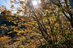 奈良井宿～鳥居峠～薮原宿-67