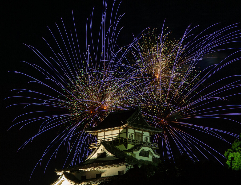 2024 犬山ロングラン花火9日目-11