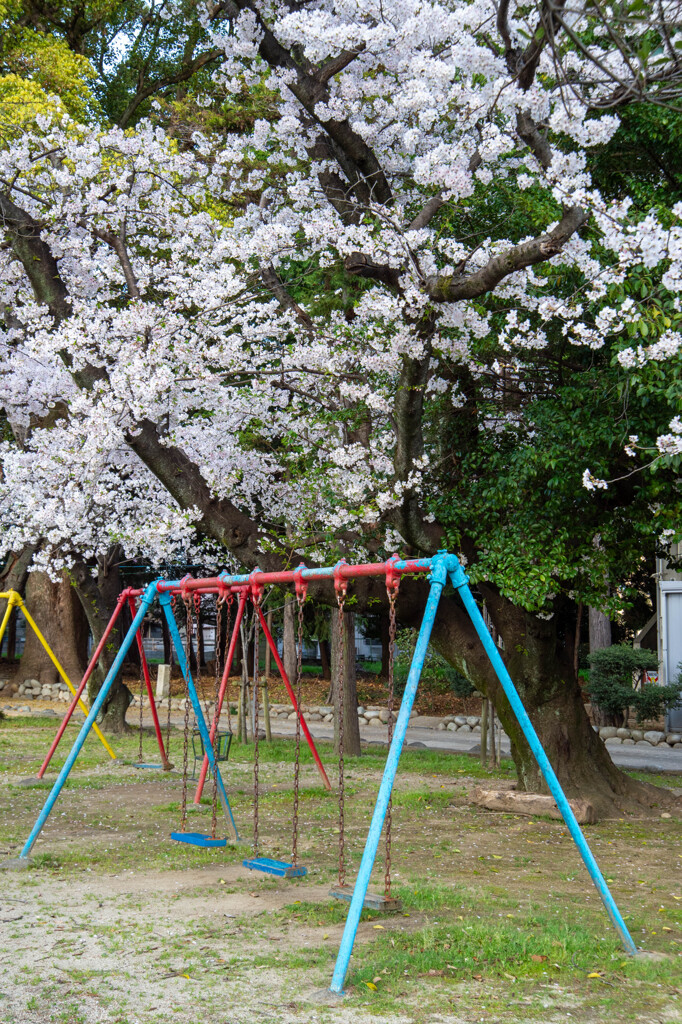 神社の社内