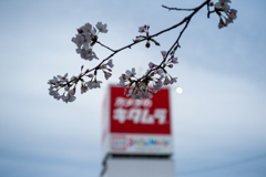 別に回し者というわけでは、ありません
