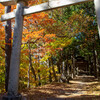 奈良井宿～鳥居峠～薮原宿-100
