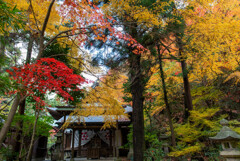 内津妙見寺 (3)