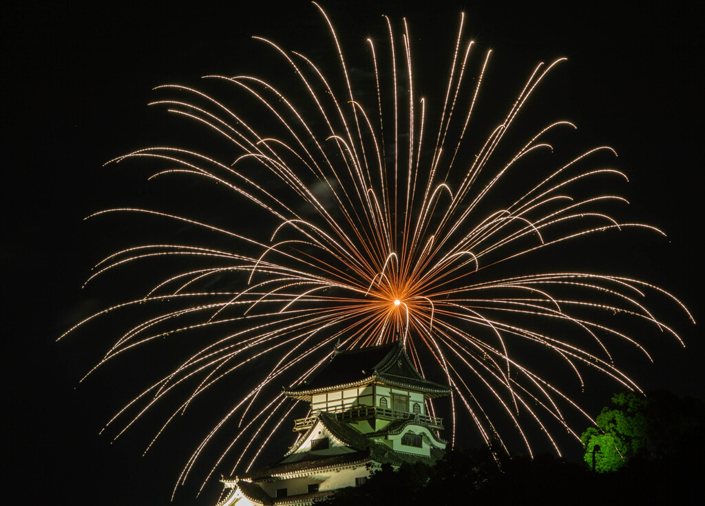 2024 犬山ロングラン花火2日目-9