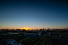 夕方散歩３