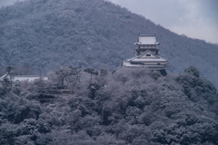 犬山城雪景色