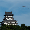 航空祭事前訓練２