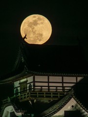ライン大橋より