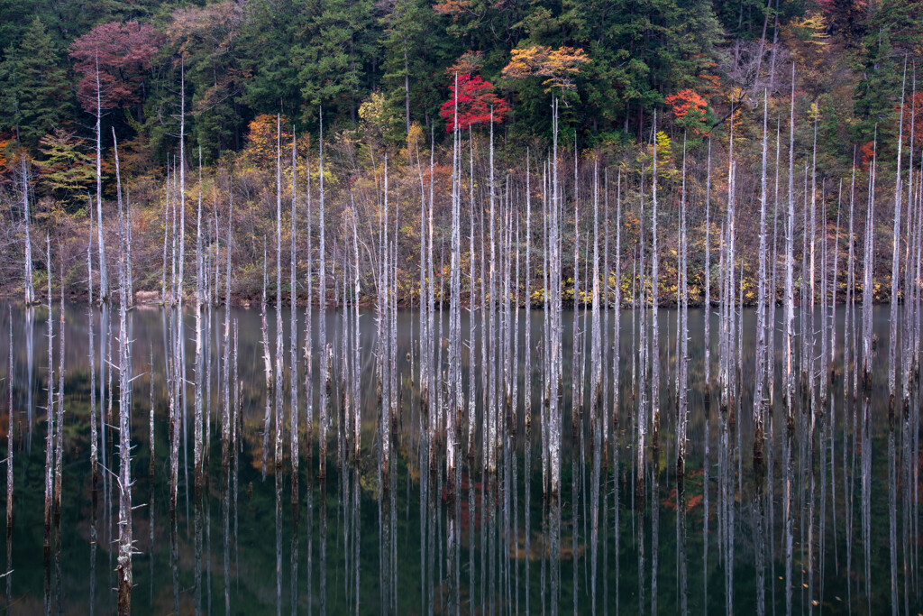 御嶽自然湖-7