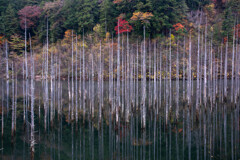 御嶽自然湖-7
