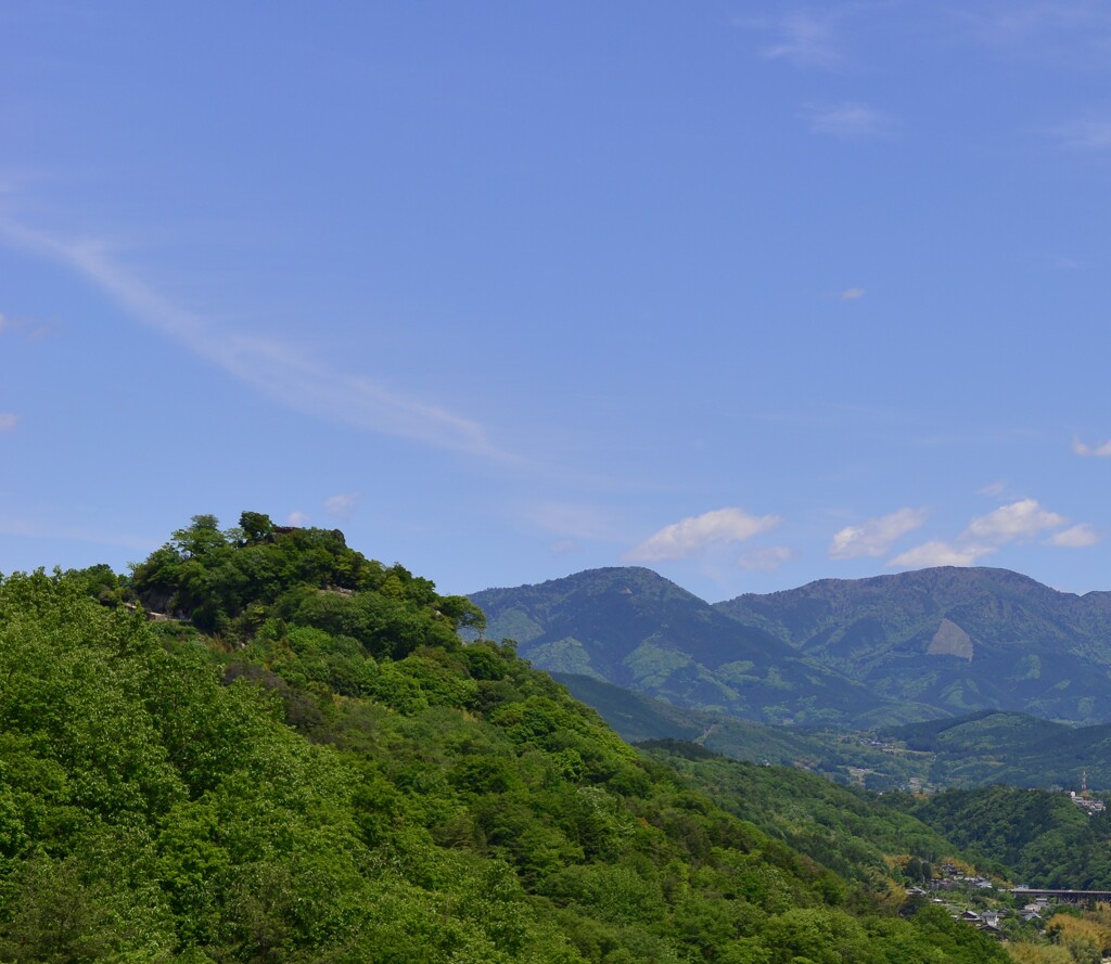 苗木城2014
