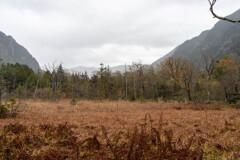 2024 秋の上高地-24