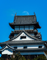 月齢9.1
