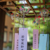 風鈴まつり-9