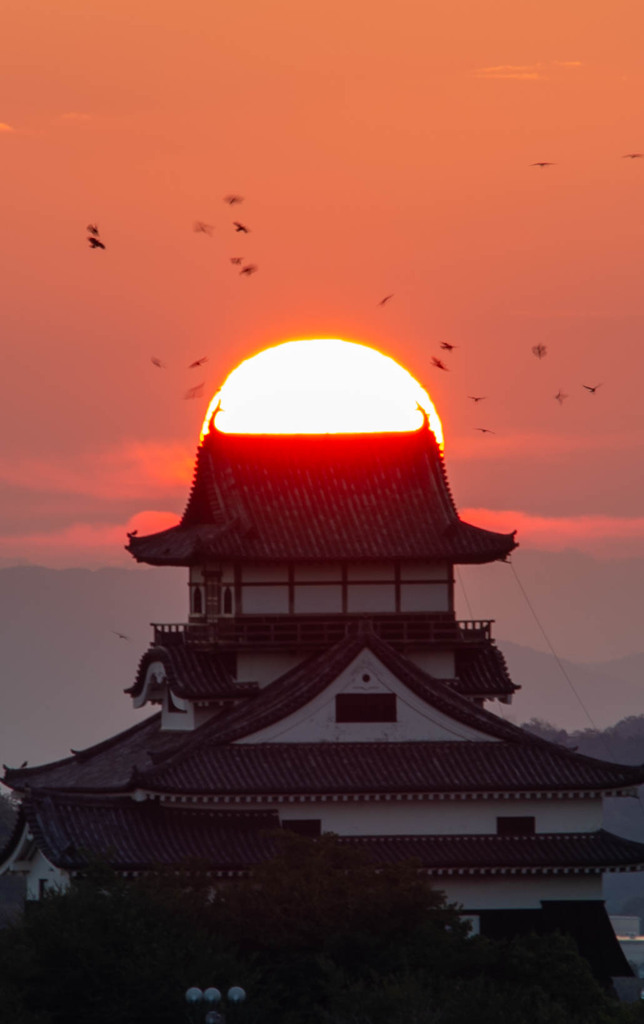 犬山城夕景-88（パイルダーオン）