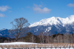 開田高原-8