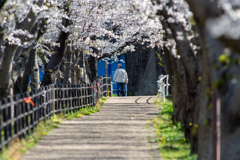 五条川